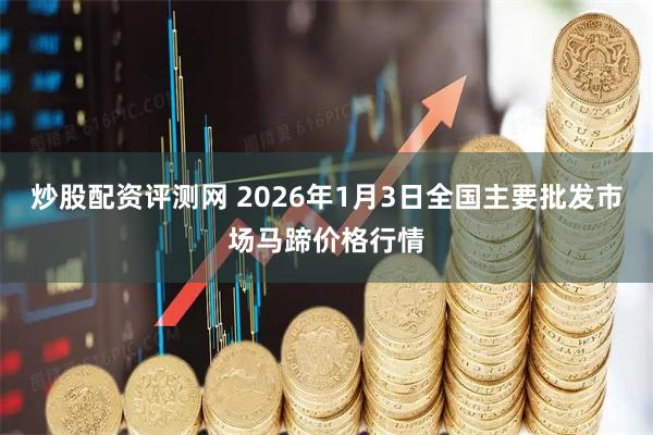 炒股配资评测网 2026年1月3日全国主要批发市场马蹄价格行情