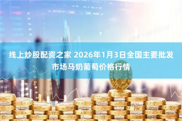 线上炒股配资之家 2026年1月3日全国主要批发市场马奶葡萄价格行情