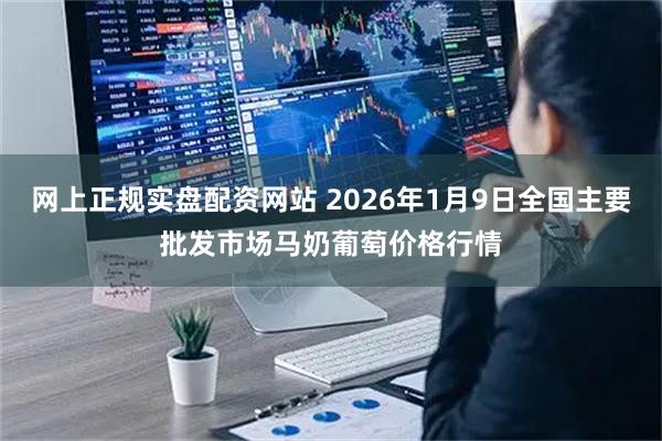 网上正规实盘配资网站 2026年1月9日全国主要批发市场马奶葡萄价格行情